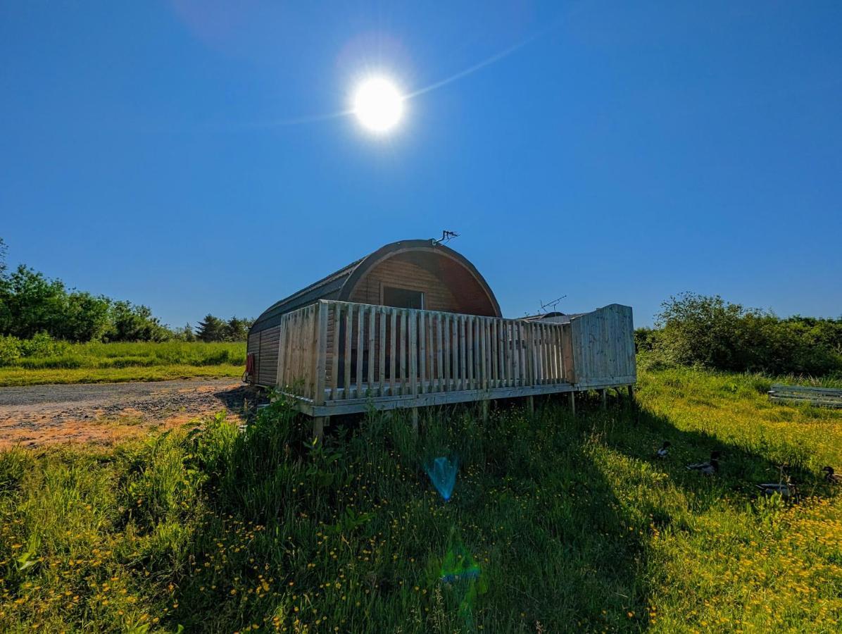 Pond View Pod 2 With Private Hot Tub -Pet Friendly- Fife - Loch Leven - Lomond Hills Villa Kelty Exterior photo